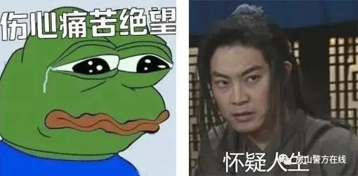  诈骗|12岁女孩被骗后秀出神操作，诈骗组织没了……