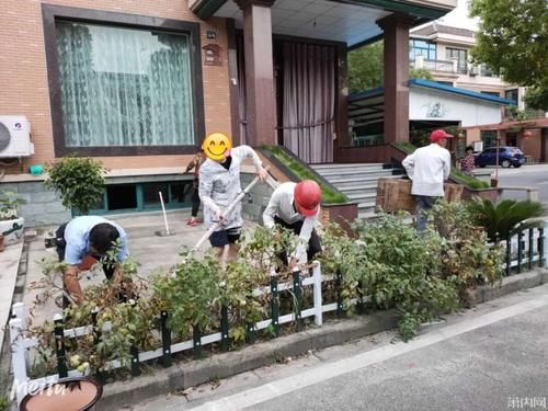  萧山|村里的工作钱多事少离家近？萧山姑娘当真了，没想到“一坑爬起又一坑”……