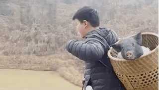  杜华|杜华儿子居然上过《变形计》！但这些重回农村的孩子更让人心痛…