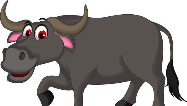  有没有|养牛好几年还不知道牛有没有上牙