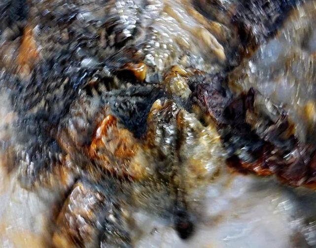  遐想|【视觉影像】津门网陈盈国：《界》遐想摄影展