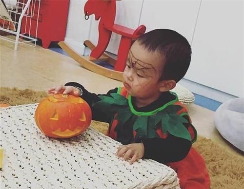  灶具|带你看看李好现实的家，厨房灶具旁还做防护罩，对老婆太贴心了