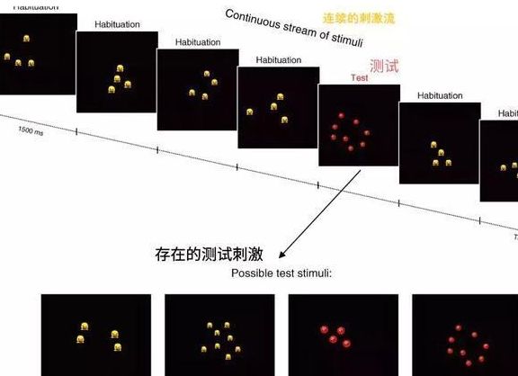 婴儿|3个月就会数数？最好的数学早教只有1%的人知道！