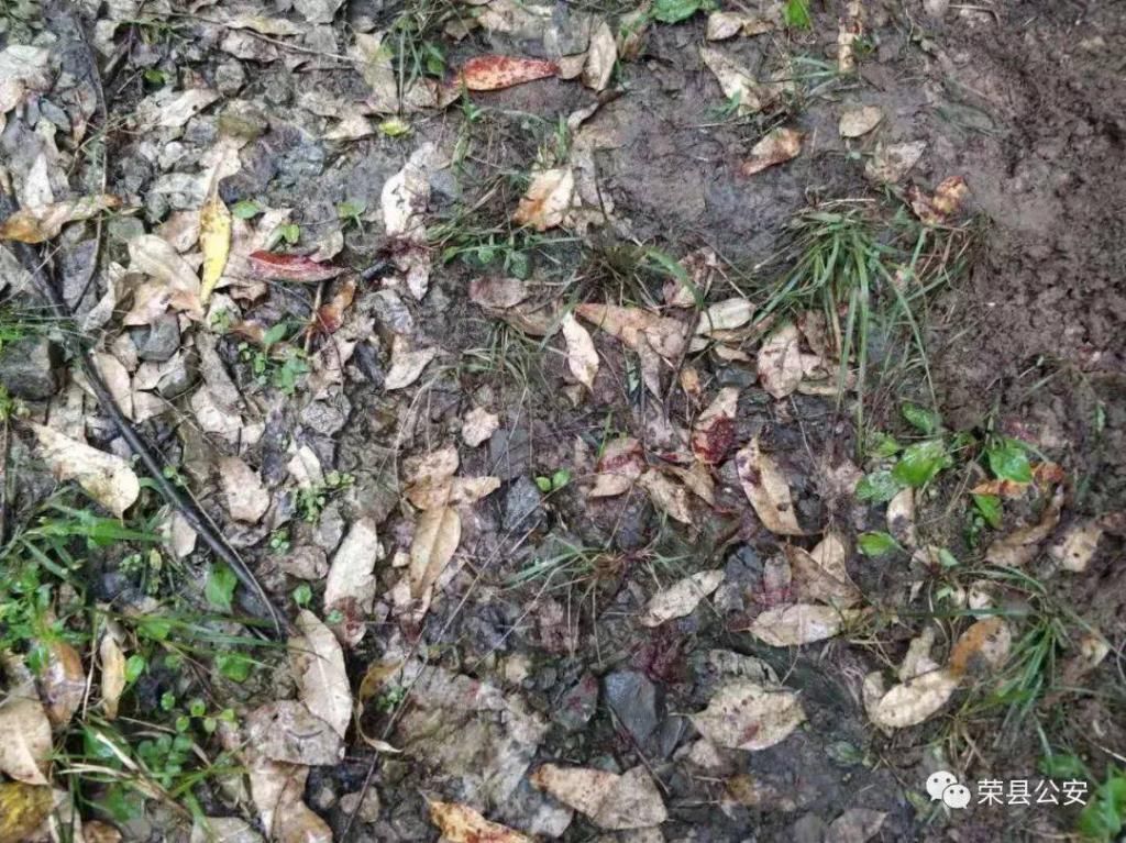 全过程|就是他！监控拍下灯杆坝一男子路边盗窃全过程！