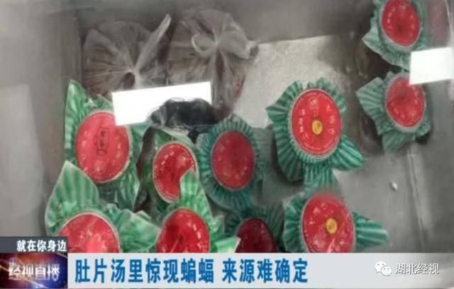  老板|汤里吃出整只蝙蝠！武汉一家人紧急做核酸检测……