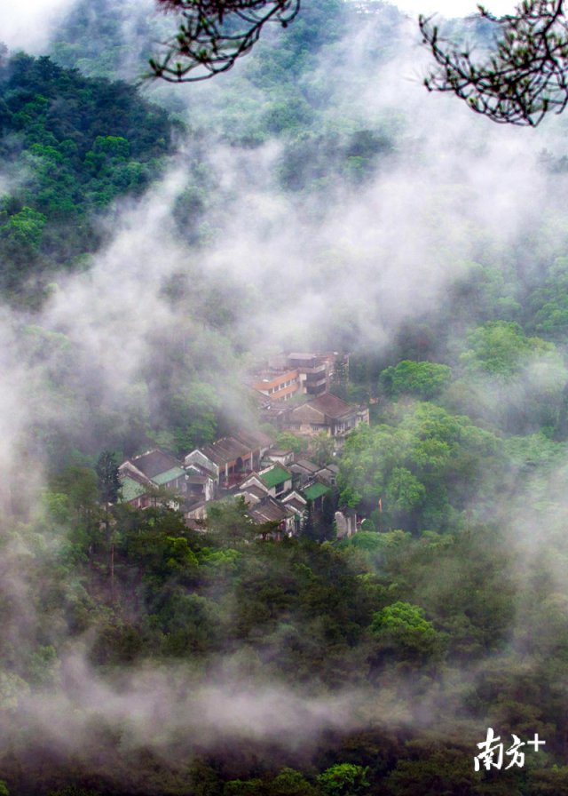  飞霞山|听说大家都在问：什么是清远？