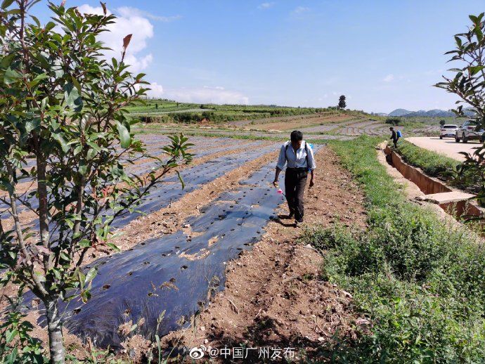 发货|发货啦!你饭桌上的菜,竟然是从这里打包发货的
