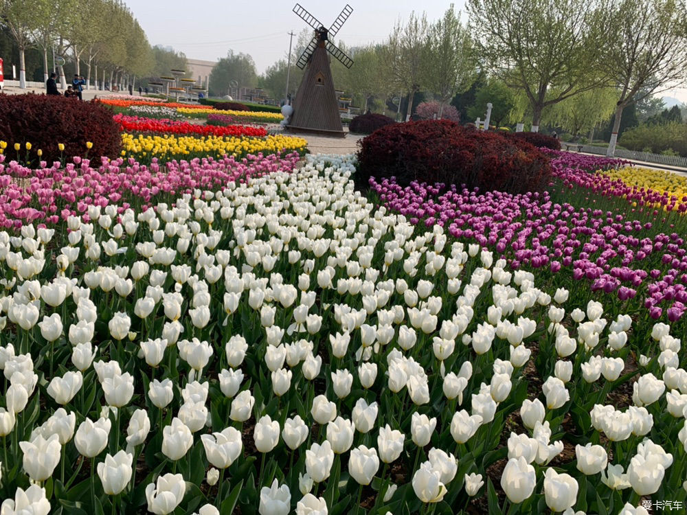  解释|【我们都过了解释的年纪】新的起点，出发吧