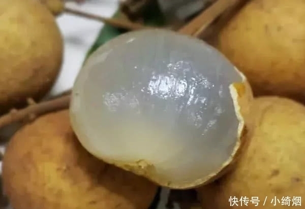 龙眼|名字带“龙”的几种水果,我赌2个冰棒,你只吃过两种