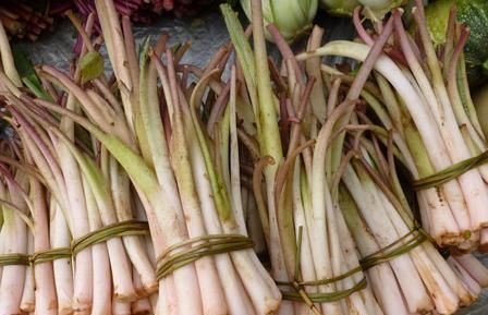  蔬菜|7种长相“奇特”的蔬菜，你见过吗？你敢吃吗？吃过的人忘不掉