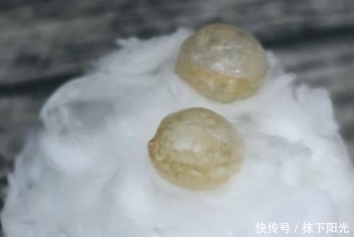 美食|米其林大厨推出一款美食叫做“油炸空气”，售价为200元人民币