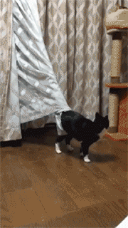 豪放|搞笑GIF:姑娘吃饭真豪放,这是在外面不是自己家哦