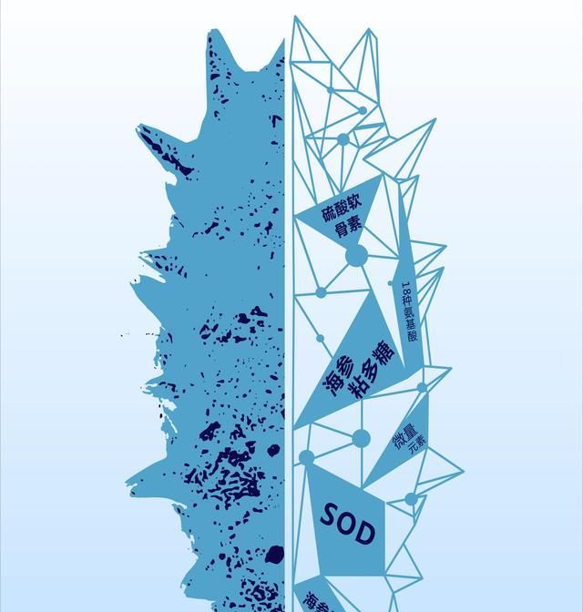  胶原蛋白|关于海参的偏见，“这锅不背”