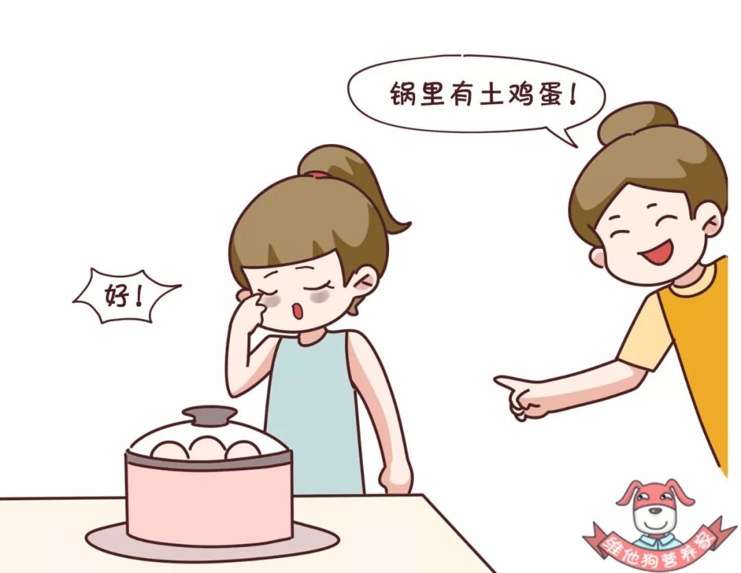 营养|土鸡蛋真的比洋鸡蛋好吗?鸡蛋怎么吃更有营养?