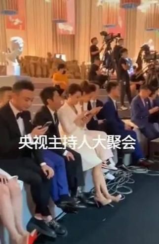  稳居|108位主持人齐聚央视，董卿稳居c位，撒贝宁一脸疲态