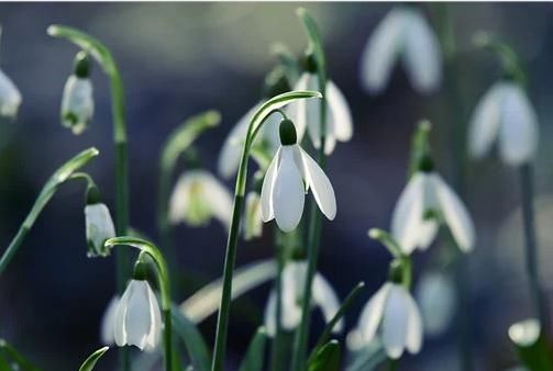  人生|人民日报：让你人生瞬间豁然开朗的68个神回答