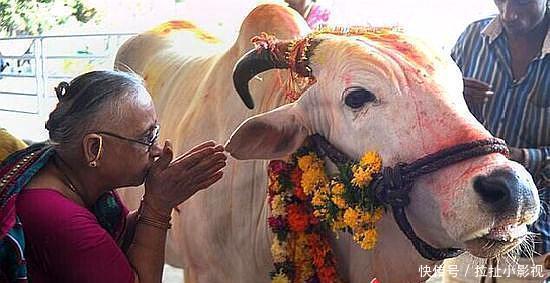 不吃|印度人不能吃猪肉,更不吃羊肉和牛肉,那么他们到底吃什么肉