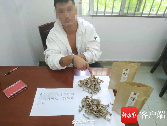 出动|新型毒品“茶树菇”、K3现身三亚!警方出动抓捕……