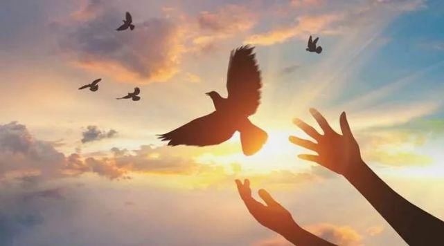  大学后|断自己的奶，父母准备好了吗