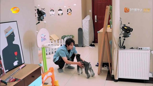  走后门|网传巴菲特是王一博亲狗，走后门出境，卷卷是影帝吗