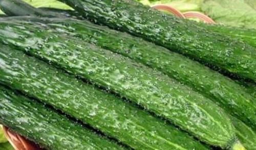 不慌|尿酸高先不慌，每天喝水时加点此物，或助你排出尿酸，远离痛风