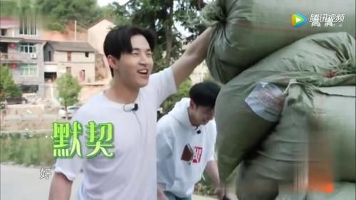  好看|《向往的生活》不好看了，这口锅四位常驻嘉宾也得背