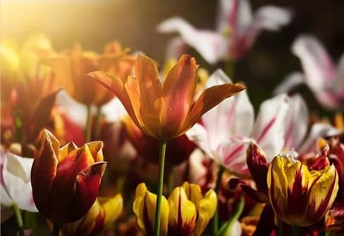  人生|人民日报：让你人生瞬间豁然开朗的68个神回答