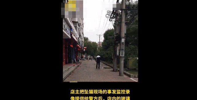  次日|好心提供高空坠猫砸人视频, 次日却被报复, 网友: 凶手真愚蠢!