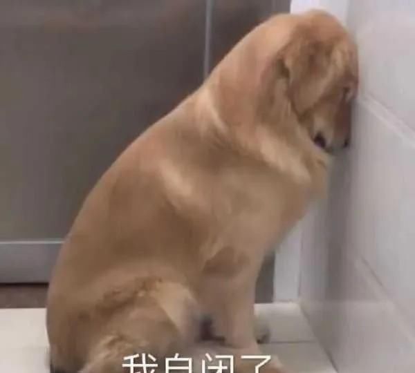  大长腿真|郁可唯姐姐满屏的腿，你羡慕了吗