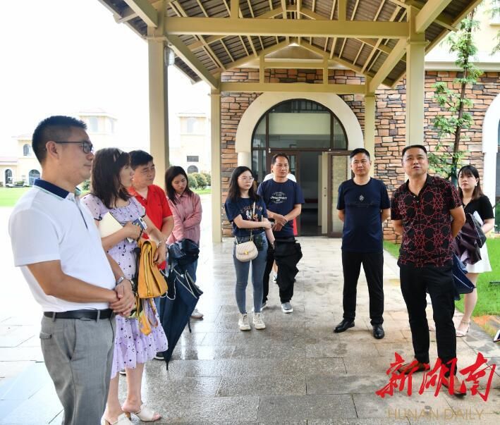  前景|长岳协同看湘阴（1）|| 青青园中葵，朝露待日晞。湘阴教育前景可期