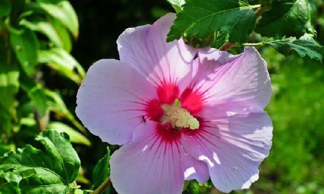 家宅|9月开始富贵入家宅，事业一飞冲天，美梦成真的四大属相