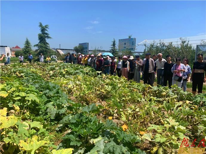  科研|庆阳市农科院西峰区温泉科研基地对外开放一周