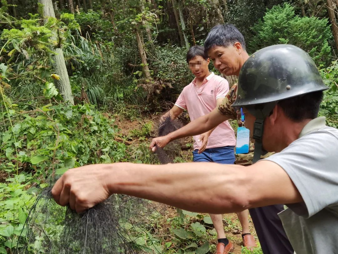  男子|国家级自然保护区内撒网捕鸟，一男子被当场抓获
