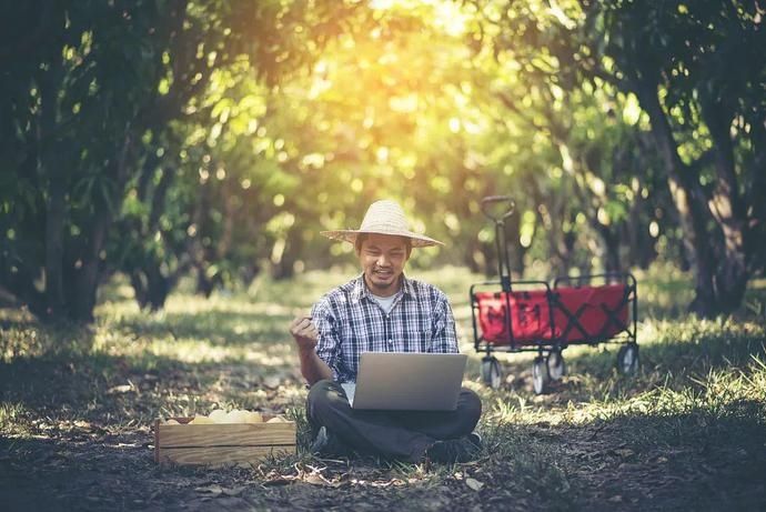 草莓种植|「科技农人」,可能是未来的当红职业