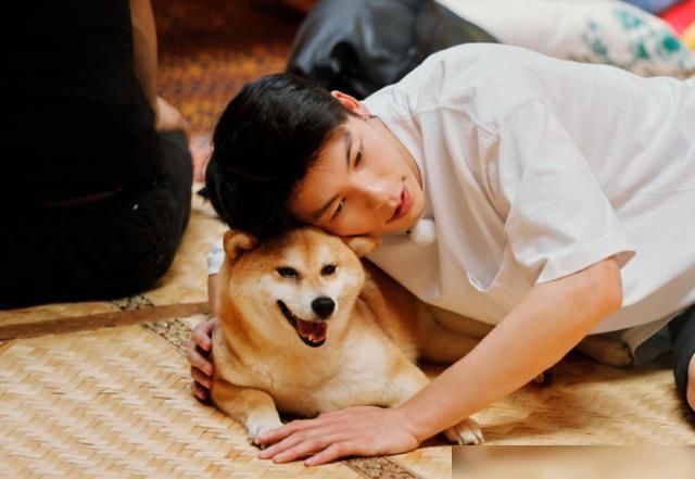 下期|《向往4》放大招,下期嘉宾颜值超高!同框画面像极了偶像剧