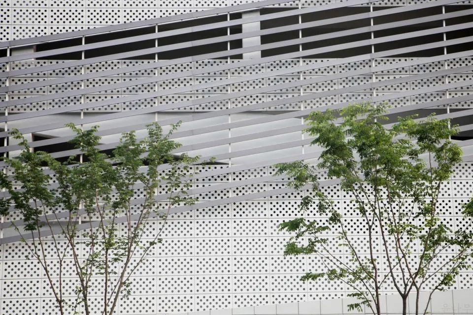  空间|5 个停车楼设计：“树”向生长的停车空间