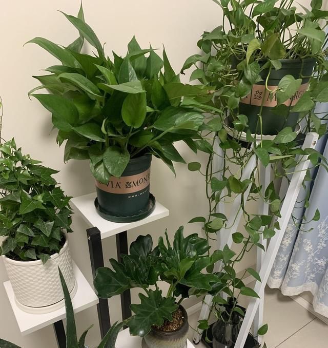  羡慕|简约风格的新房装修超漂亮, 作为婚房超满意, 闺蜜们都羡慕了