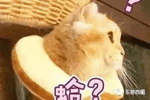 爹味|像这样没有一丝爹味的温柔大叔,请给我来一打!