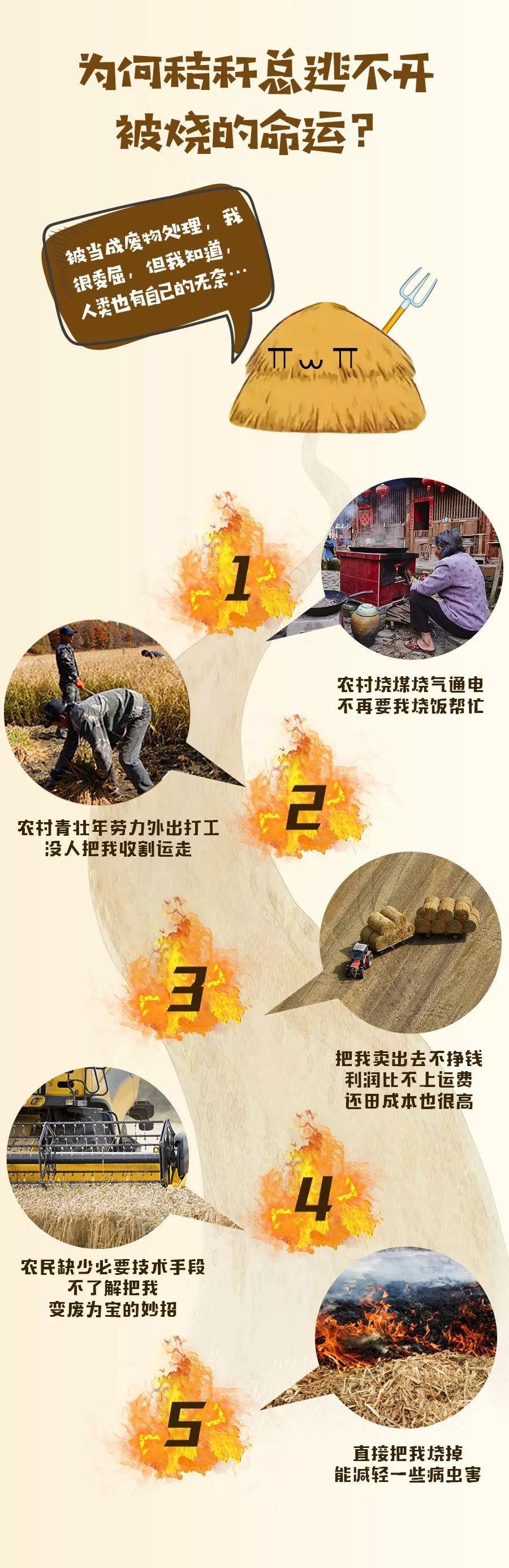 误会|“我不是废物！”对于人们的误会，秸秆有话要说