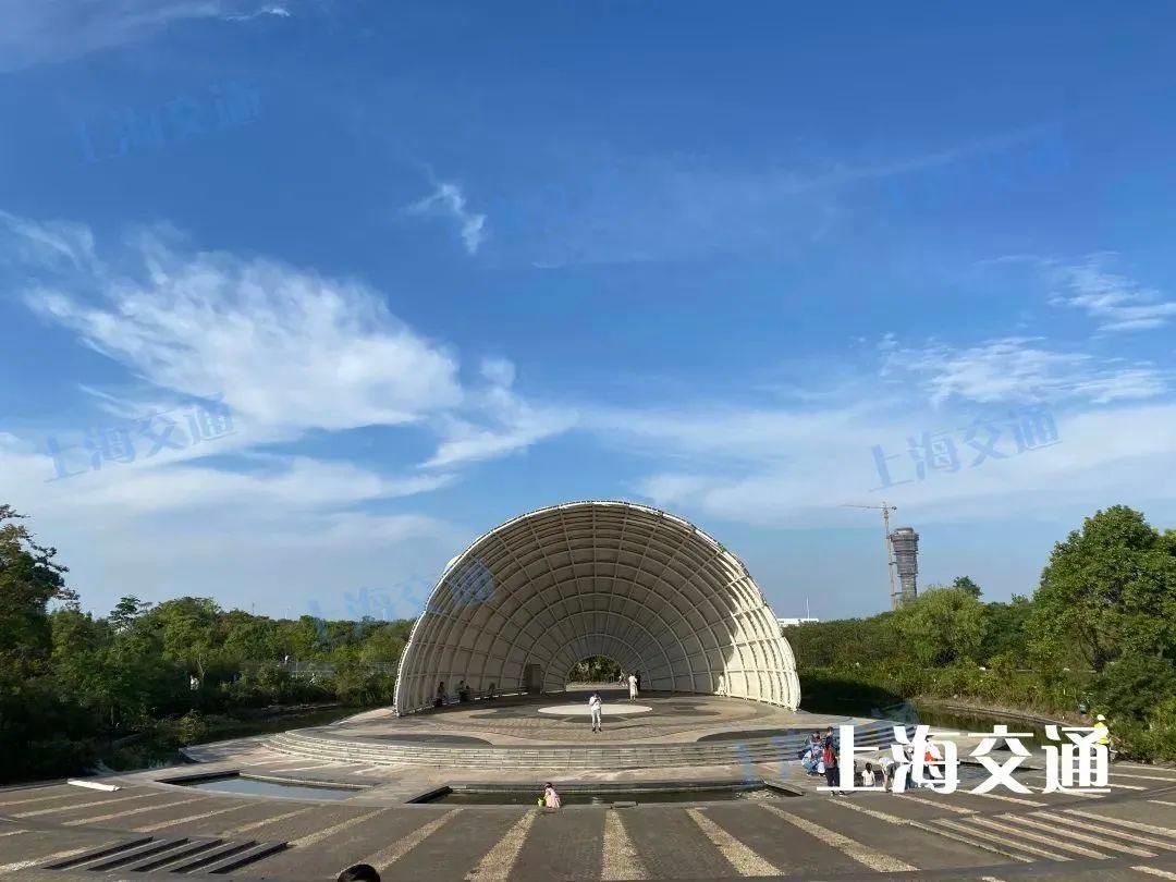 公交线|上海又一滨江岸线开放!乘这条公交线,带你直达阳光沙滩、市郊各种网红景点