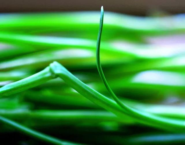  遐想|【视觉影像】津门网陈盈国：《界》遐想摄影展