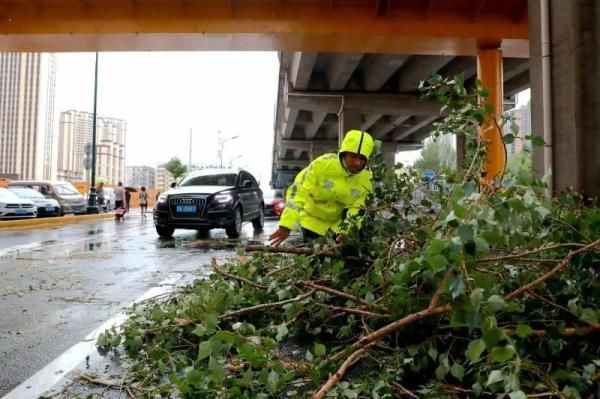 感动！冰城交警，暴雨中的逆行者|风里雨里路上有你| 积水