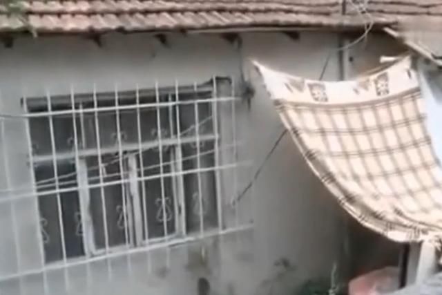  梦见|母亲梦见自家地下是宝藏所藏地，母亲去世后，女儿带人挖21米深洞寻找宝藏