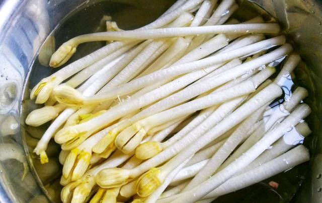  买不到|这种食材是天然的“长寿菜”，一般买不到，8月遇到别错过