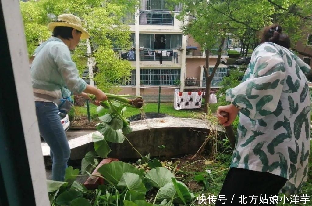 文明城区|给我们的家园做一场“深层SPA”！