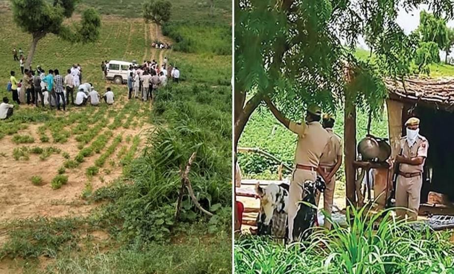  名家|女护士给10名家人注射杀虫剂，将其全部杀害后自杀