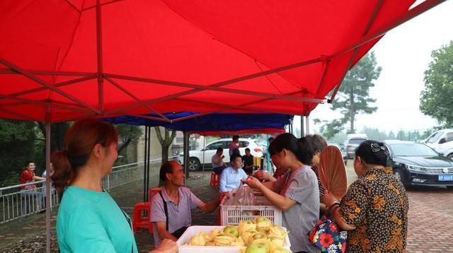 开幕|广德市：双岗蜜梨采摘文化节欢乐开幕