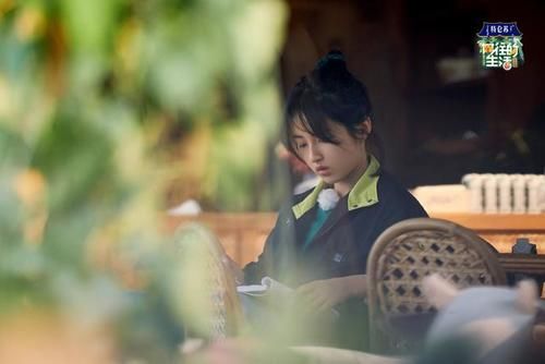  好看|《向往的生活》不好看了，这口锅四位常驻嘉宾也得背