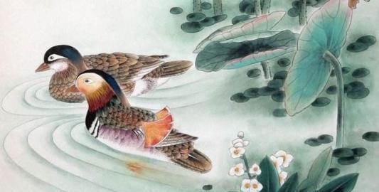  情诗|我们认为《关雎》是一首情诗，但实际上还有一层更深的隐藏含义