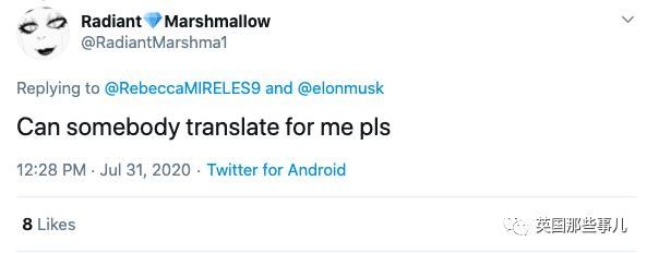  恋人|马斯克发推，说自己和比尔盖茨不是恋人？！网友：这又是哪一出？